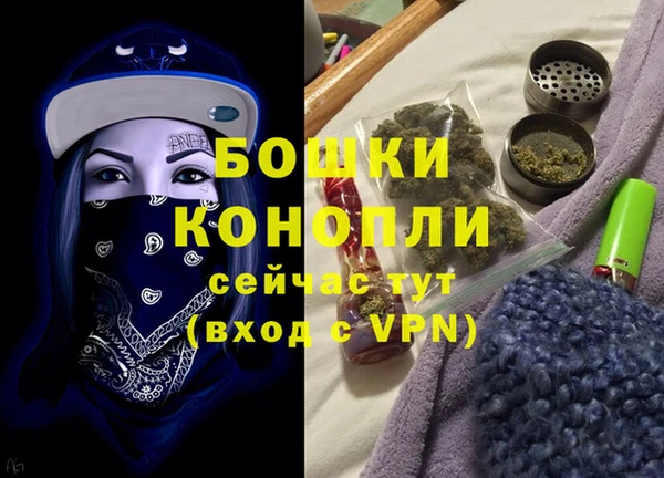 сатива Гусь-Хрустальный
