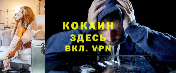 сатива Гусь-Хрустальный